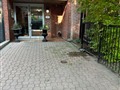 17 Pembroke St 37, Toronto