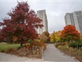 80 Antibes Dr 1605, Toronto