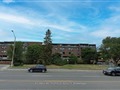 4060 Lawrence Ave 106, Toronto