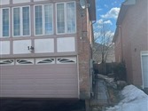 1 Greybeaver Tr Bsmt, Toronto