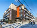 3560 St Clair Ave 205, Toronto