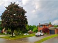 1405 Manitou Dr, Oshawa