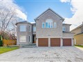 62 Black Walnut Cres, Richmond Hill