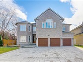 62 Black Walnut Cres, Richmond Hill