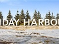 415 Sea Ray Ave 306, Innisfil