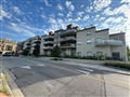 86 Woodbridge Ave 313, Vaughan