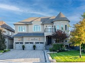 11 Little Marco Crt, Vaughan