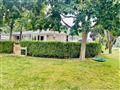 299 Axminster Dr, Richmond Hill