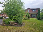 156 Beechnut Rd Basemen, Vaughan