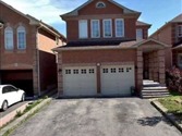 23 Constantia St BSMT, Markham