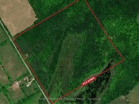 6115 Line 5 Rd, Oro-Medonte