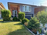 1067 East Ave Bsmt, Mississauga