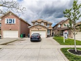 29 Cheviot Cres bsmnt, Brampton