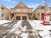 41 Speedwell St, Brampton