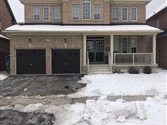 9 Ross Dr Bsmt, Brampton