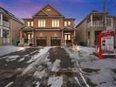 41 Speedwell St, Brampton