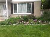 26 Morpeth Rd, Brampton