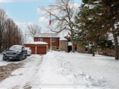 28 Pine Tree Cres, Brampton