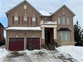 8 Jacksonville Dr Basement, Brampton