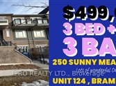 250 Sunny Meadow Blvd 124, Brampton