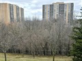 5 Rowntree Rd 306, Toronto