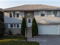 227 Carrol St, Wellington North