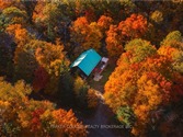 1046 Pine Springs Rd, Algonquin Highlands