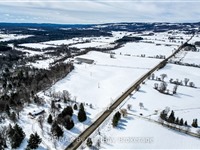 828482 Mulmur/Nottawasaga T Line, Mulmur
