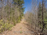 3349 Deep Bay Rd, Minden Hills