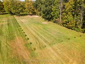 31 7th Concession Rd, Brant