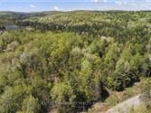 2411 Paugh Lake Rd, Madawaska Valley